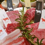 Jukusei Wagyu Yakiniku Aging Beef Shibuya Ten - 