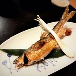 友家ホテル - 魚野川の養殖鮎