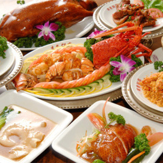 저렴한 음료 무제한 플랜♪