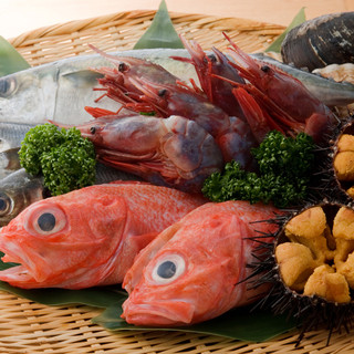 東北、宮城を堪能できる地魚と地酒を豊富に取り揃えています