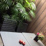 蕎麦屋 にこら - 