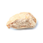 パンとお話 アップルの発音 - よく見かけた実への断面 '14 1月中旬