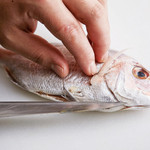 Roppakuya KADO - 食材そのものの持ち味を最大限に引き出した、料理の数々