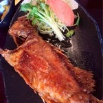 花ホタル - アラカブはテカってます。