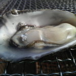 住ノ江炭火かき家 - 殻つき