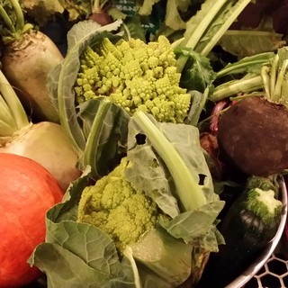 料理の素材（食材）を吟味