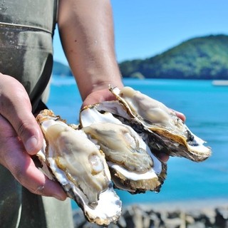 1年中新鮮な生牡蠣がたべられます♪