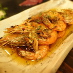 アカミヤコウシ - 