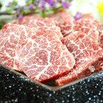 New Kumamoto Tei - 特選馬刺し 熊本名物馬刺し