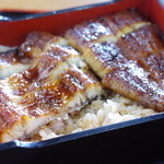 福吉 - 料理写真:うな丼(上)