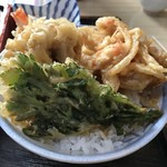 梅山本 - これではミニ天丼では無いでしょう