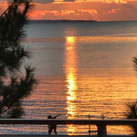 琉球ダイニング桃香 - 