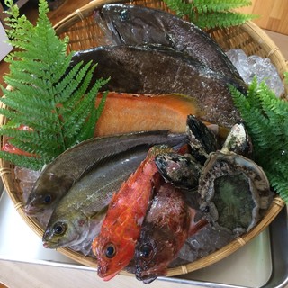 Ristorante MATSUSHIMA - 本日の素材:アラ、アカハタ、イサキ、カサゴ、鮑、ムール貝