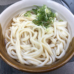 木下製麺 - ネギのせてみたが…物足りない