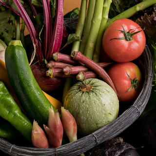 有機野菜と鮮魚にこだわる。季節の恵みを味わう逸品に舌鼓