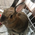 四季の宿　花渕荘 - 