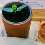 Craft Cafe Big Forest - 