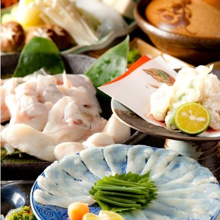 일년 내내 즐길 수 있는 복을 부르는 "복어".