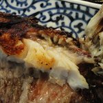 うしお - あこうだい