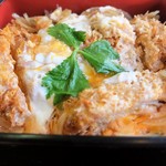 Hidekatsu Oritate Ten - ひれ重