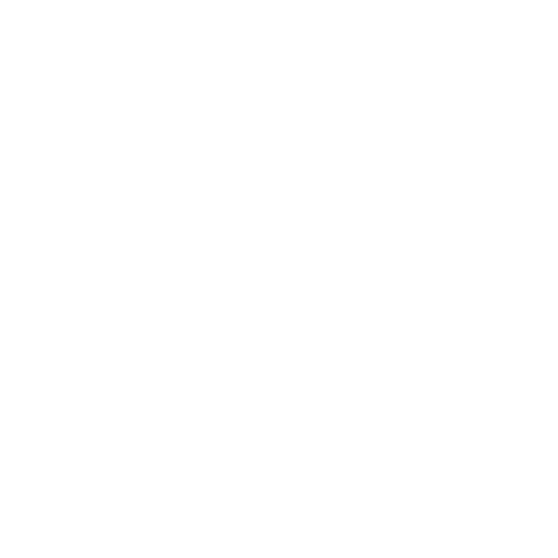 security shield
