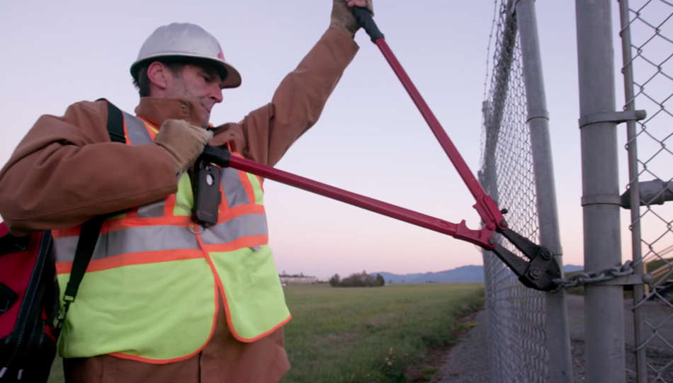 The Reluctant Radical The Reluctant Radical