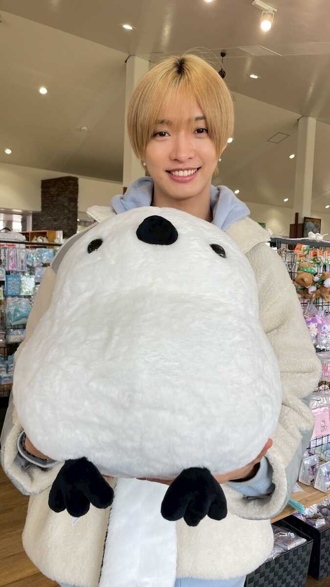 【 IMP.通信】佐藤新、「シマエナガ」グッズ選びに大はしゃぎ、苫小牧で自然の癒やしを紹介