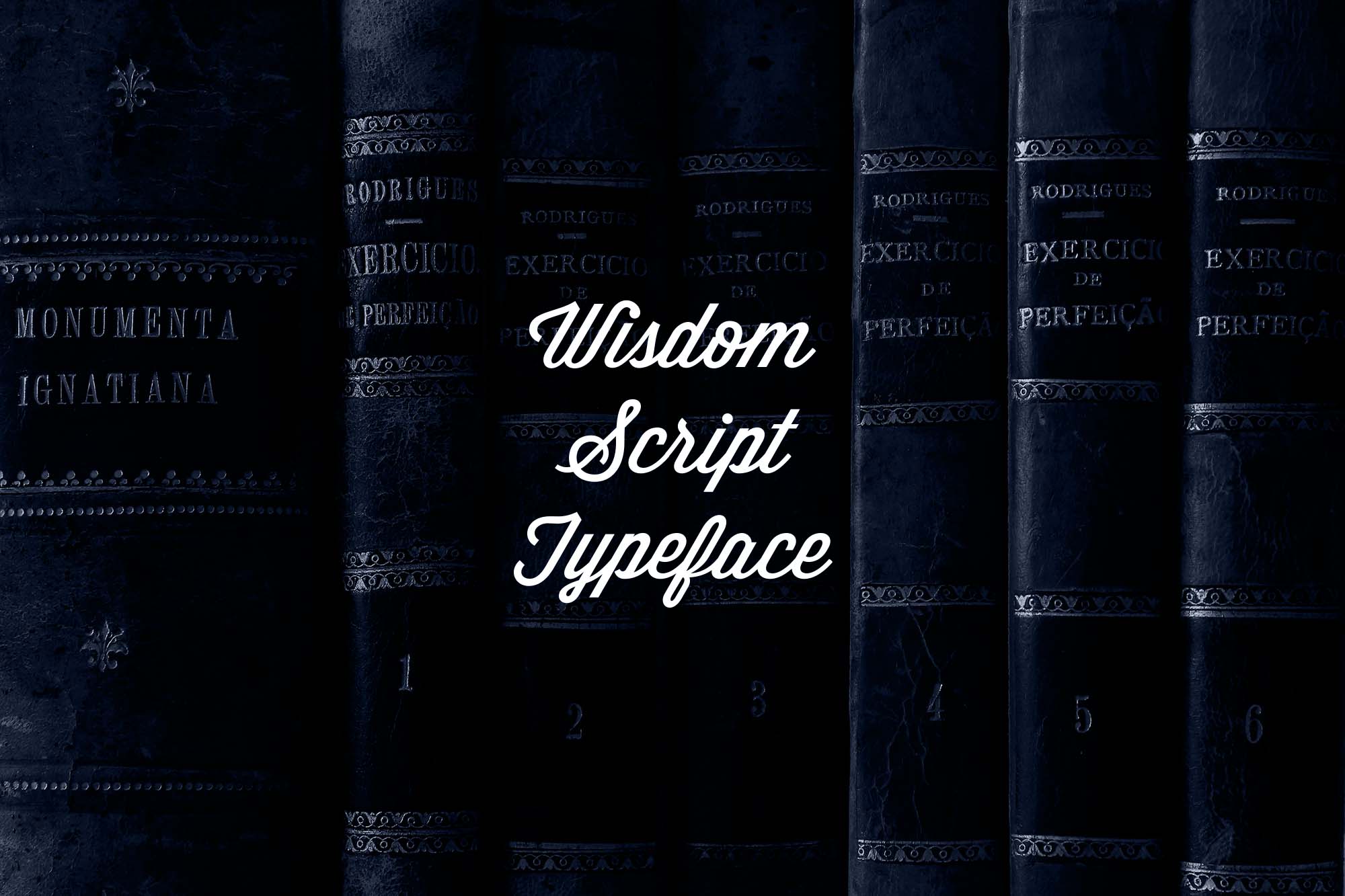 Wisdom Script Font 4