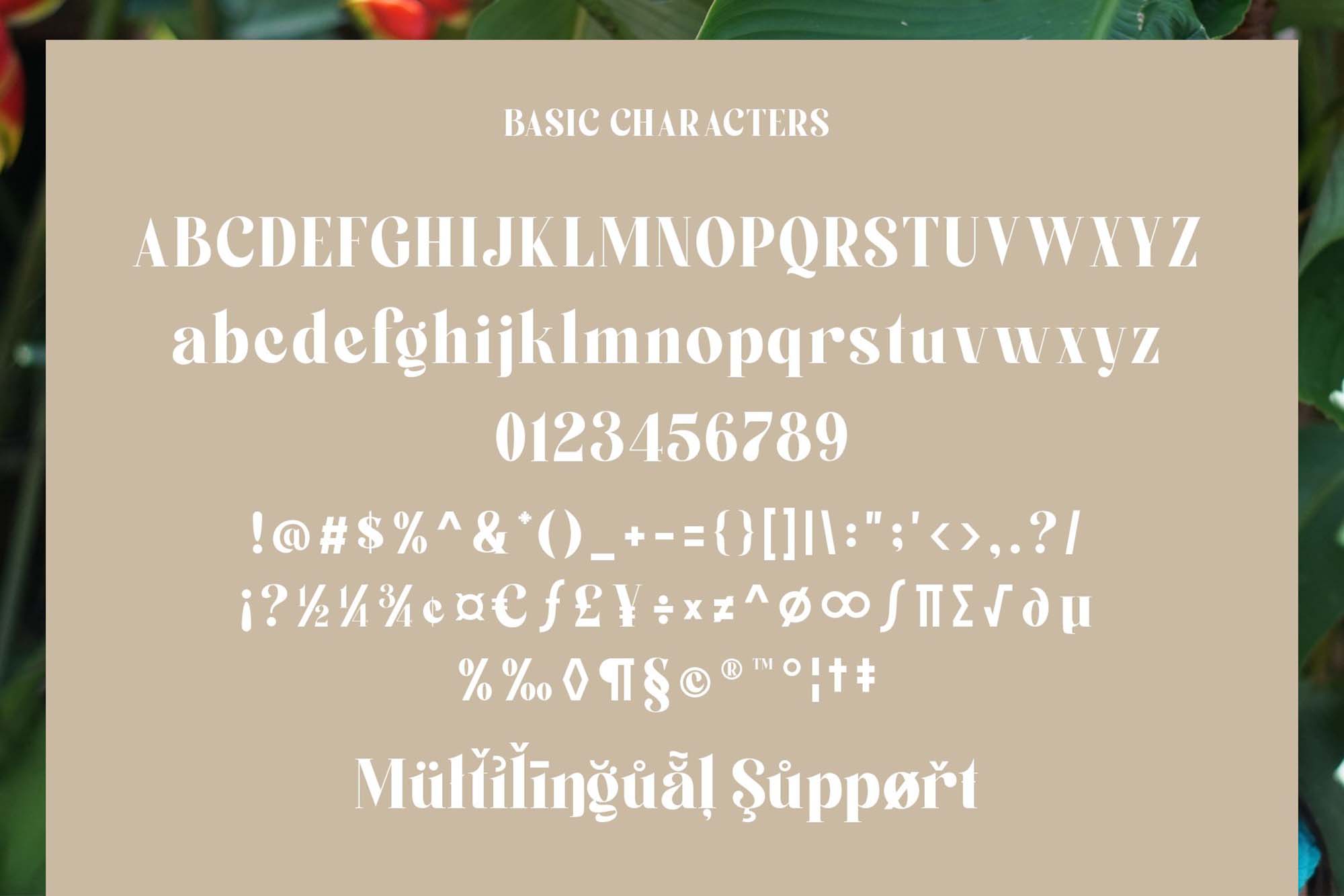 Boiling Display Typeface 4