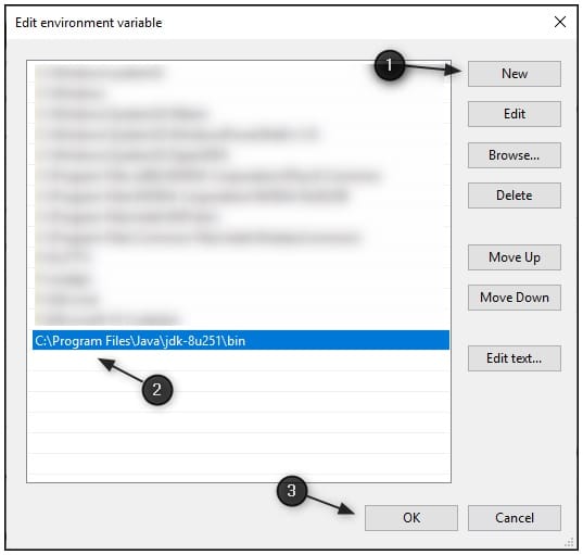 How to Install Java on Windows 10? Environment Variable