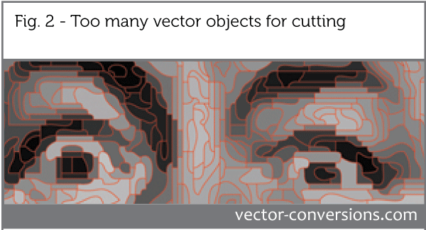 zoomed in greyscale image with outline