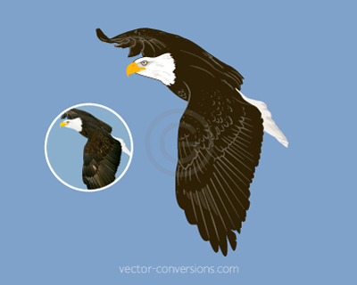 vector graphic for large format printing 