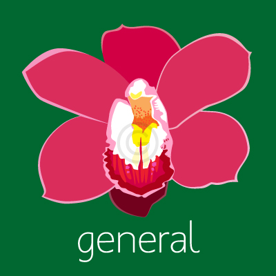 general vector conversion examples