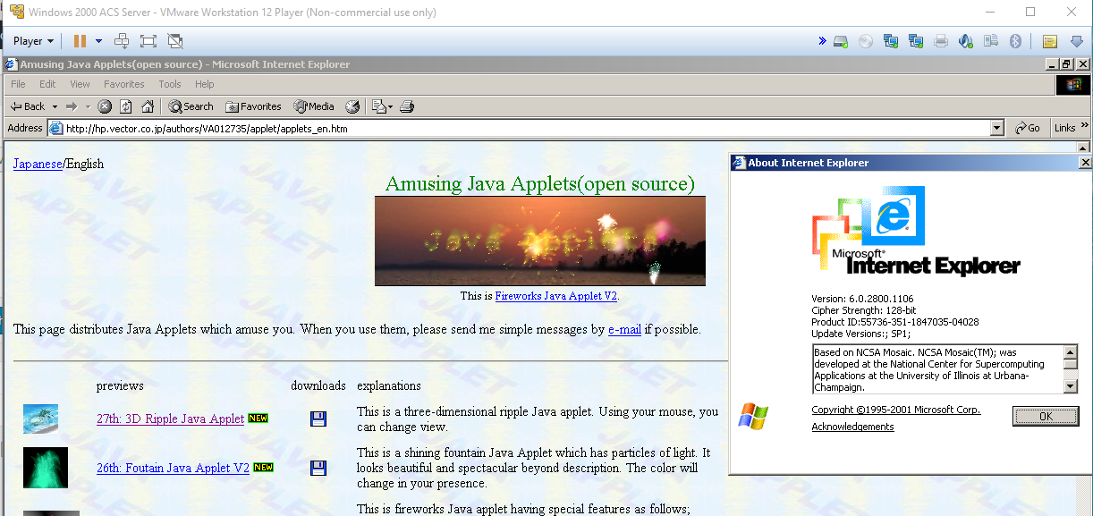 MS Java on IE6