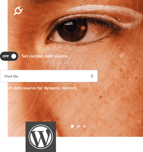 Dynamic Content Dynamic content for WordPress