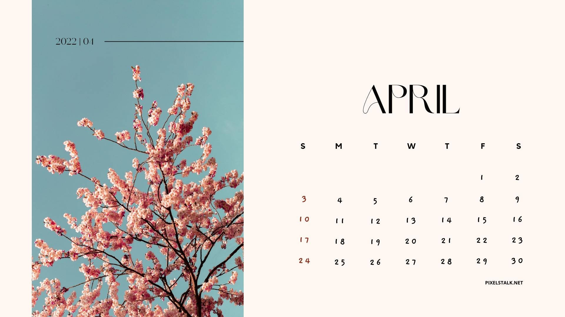 Kirsebærblomstring April 2022 Kalender Wallpaper