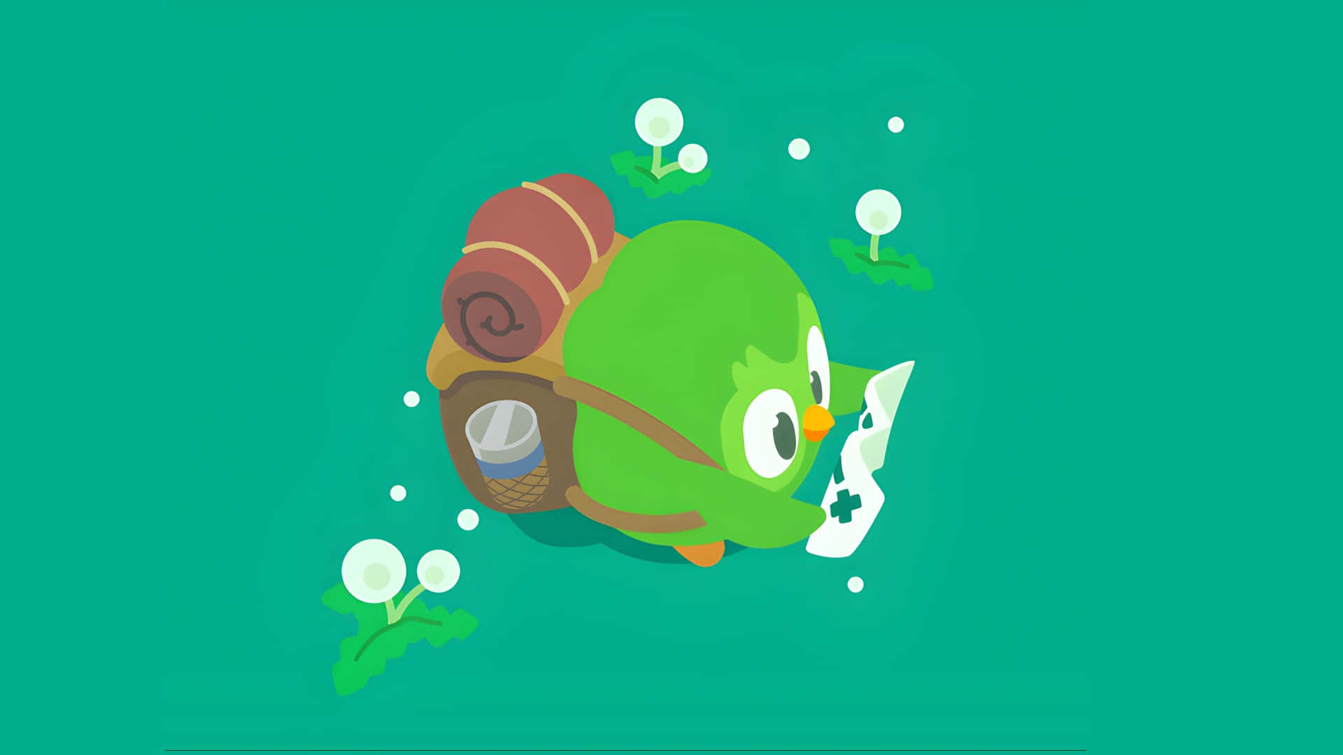 Duolingo Ugle Læser Brev Wallpaper