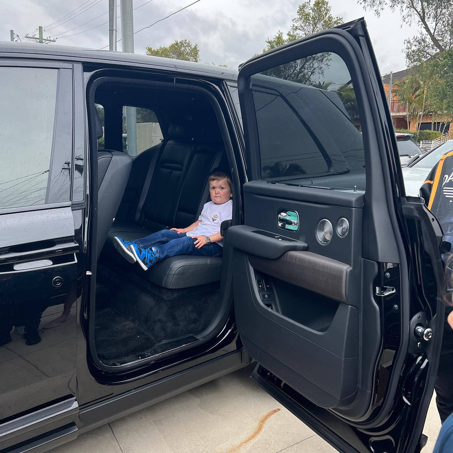 Hasbulladentro De Um Suv. Papel de Parede