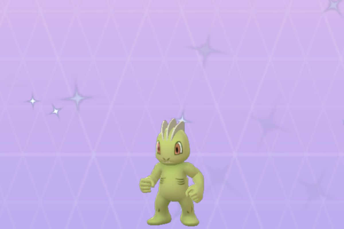 Machop 1200 X 800 Wallpaper