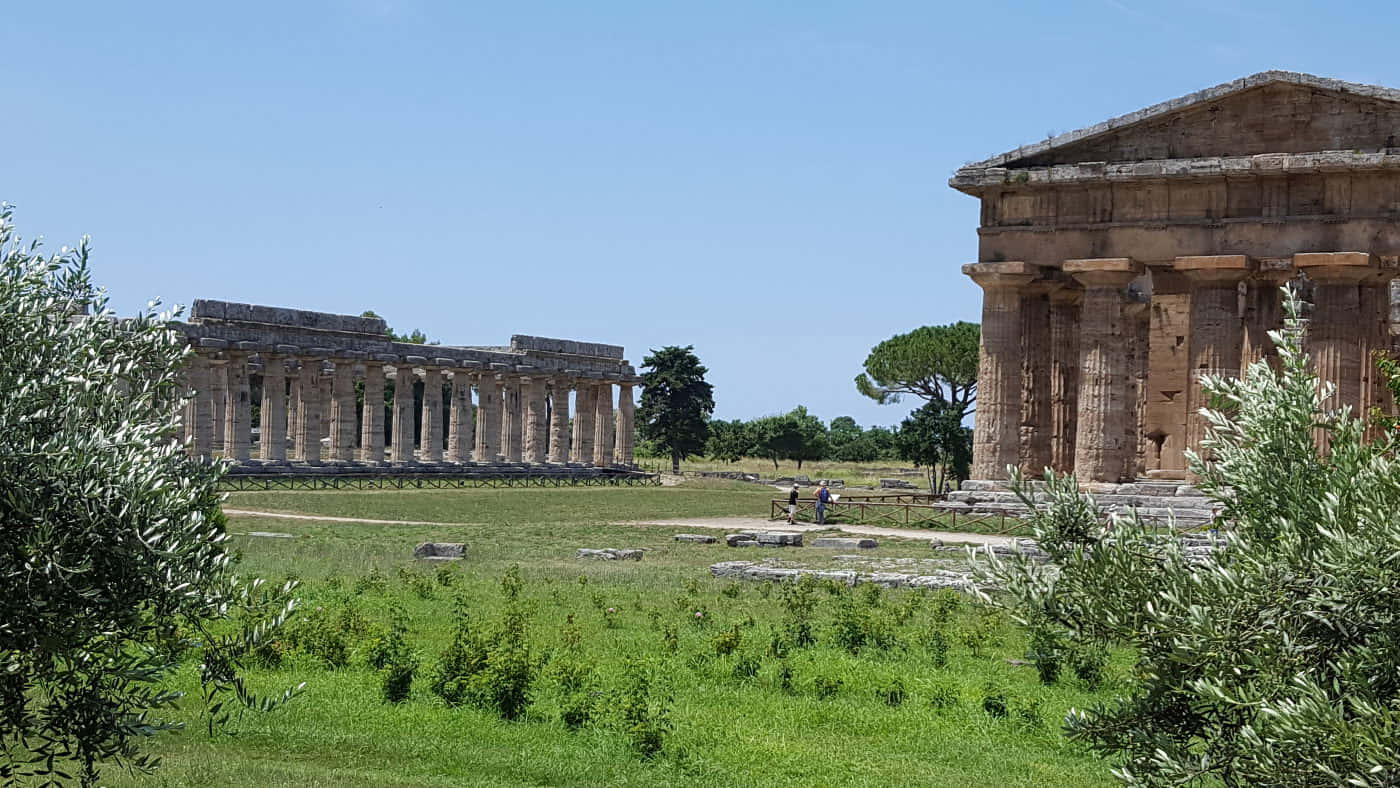 Edificiosgemelos De Paestum Fondo de pantalla