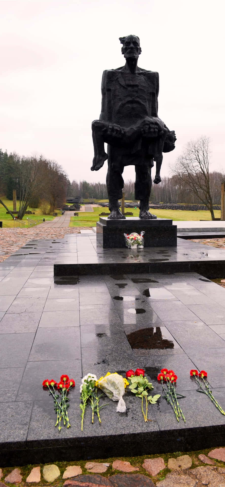 Ww2 Iphone Veteranen Grafsteen Achtergrond