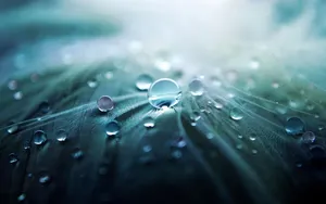 3D HD Dew Drops maleri på bølgende havet Wallpaper