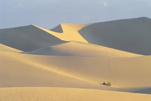 Lanskap 4k Gurun Sahara Wallpaper