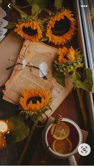 Kännde Coola Vibbarna. Wallpaper