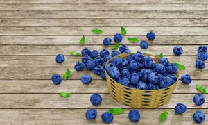 Landhausstilblaubeeren Wallpaper