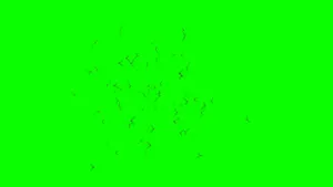 Layar Hijau Serangga Wallpaper