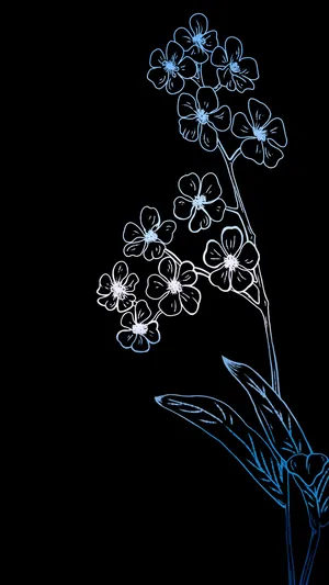 Einschwarzer Hintergrund Mit Einer Blauen Blume. Wallpaper