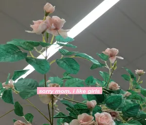 Tapet med lesbisk æstetisk citat og roser: 