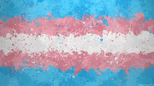 LGBT Transgender Flag Maleri Wallpaper