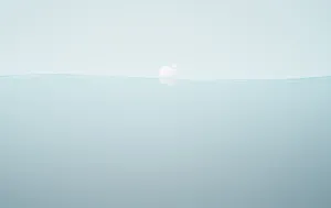 Desktop Netral Abu-abu Wallpaper